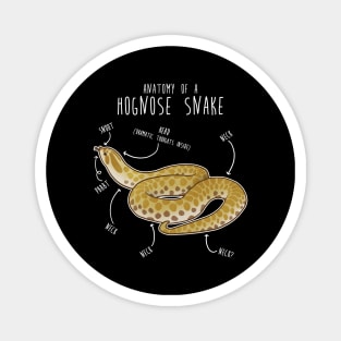 Lemon Hypo Ghost Hognose Snake Anatomy Magnet